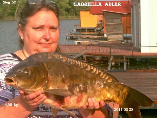 Adler Gabriella  Szép méretes pontya.